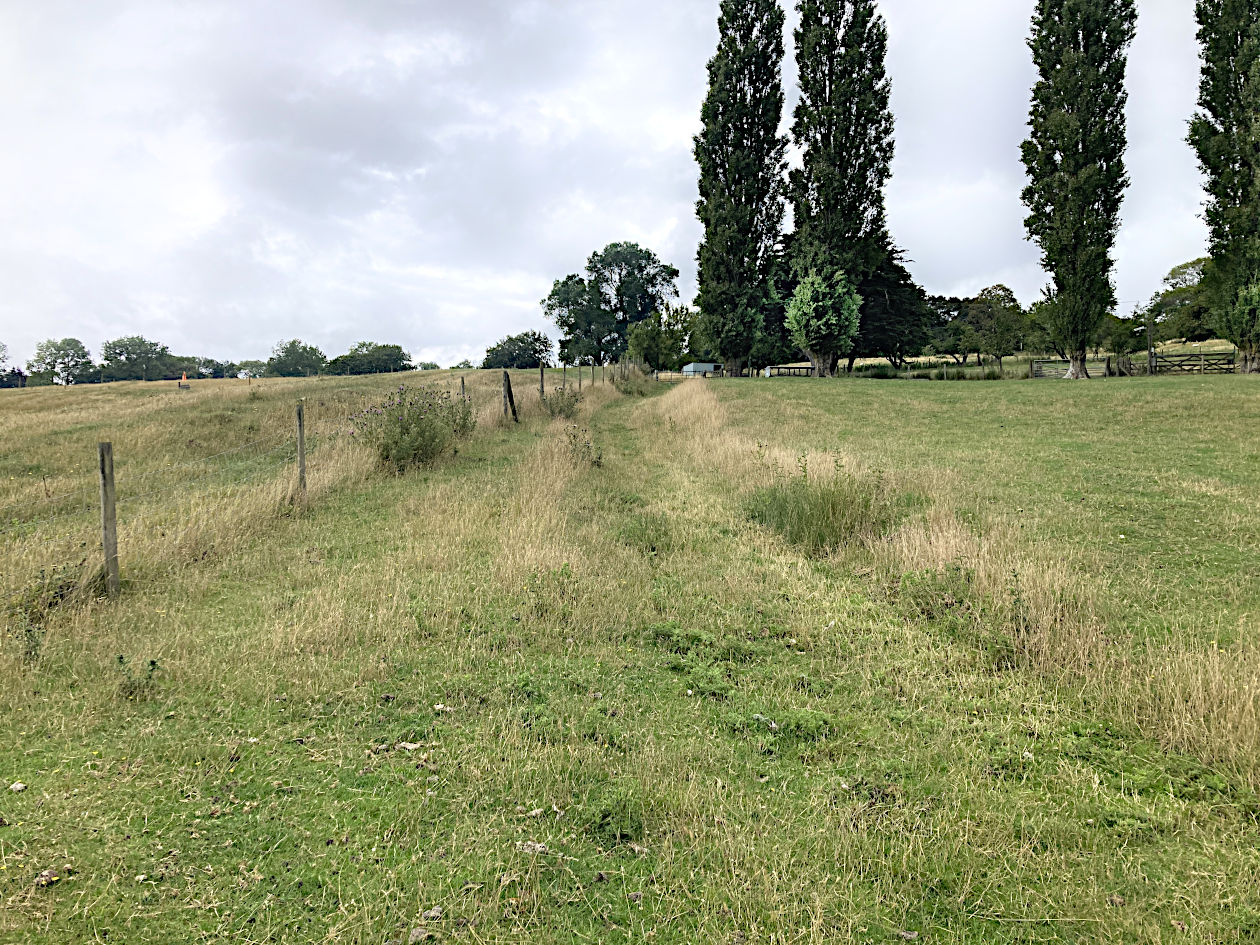 a holloway climbs up through green fields towards trees in the distance