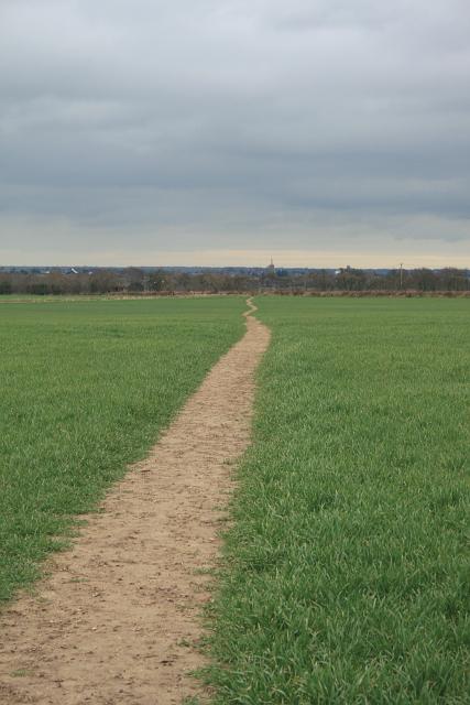 path on Twitham Hill