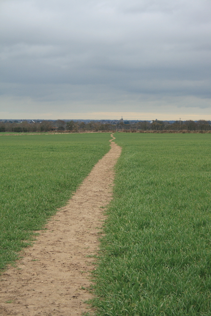 path on Twitham Hill