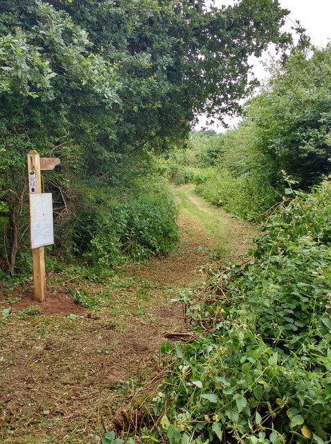 Signposted and mown lane