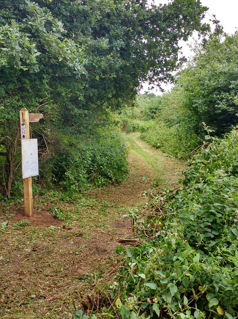 Signposted and mown lane