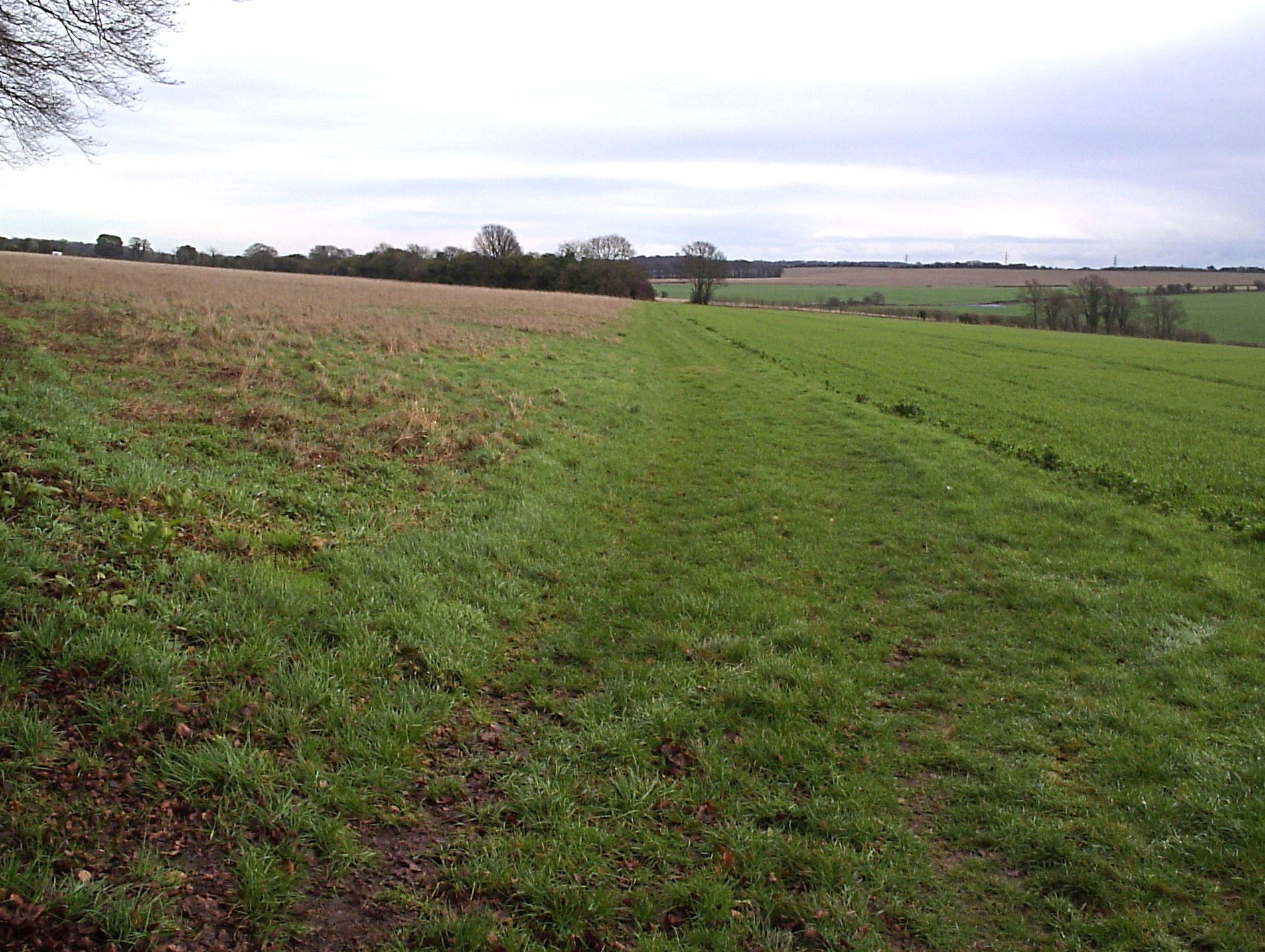 Kittington way