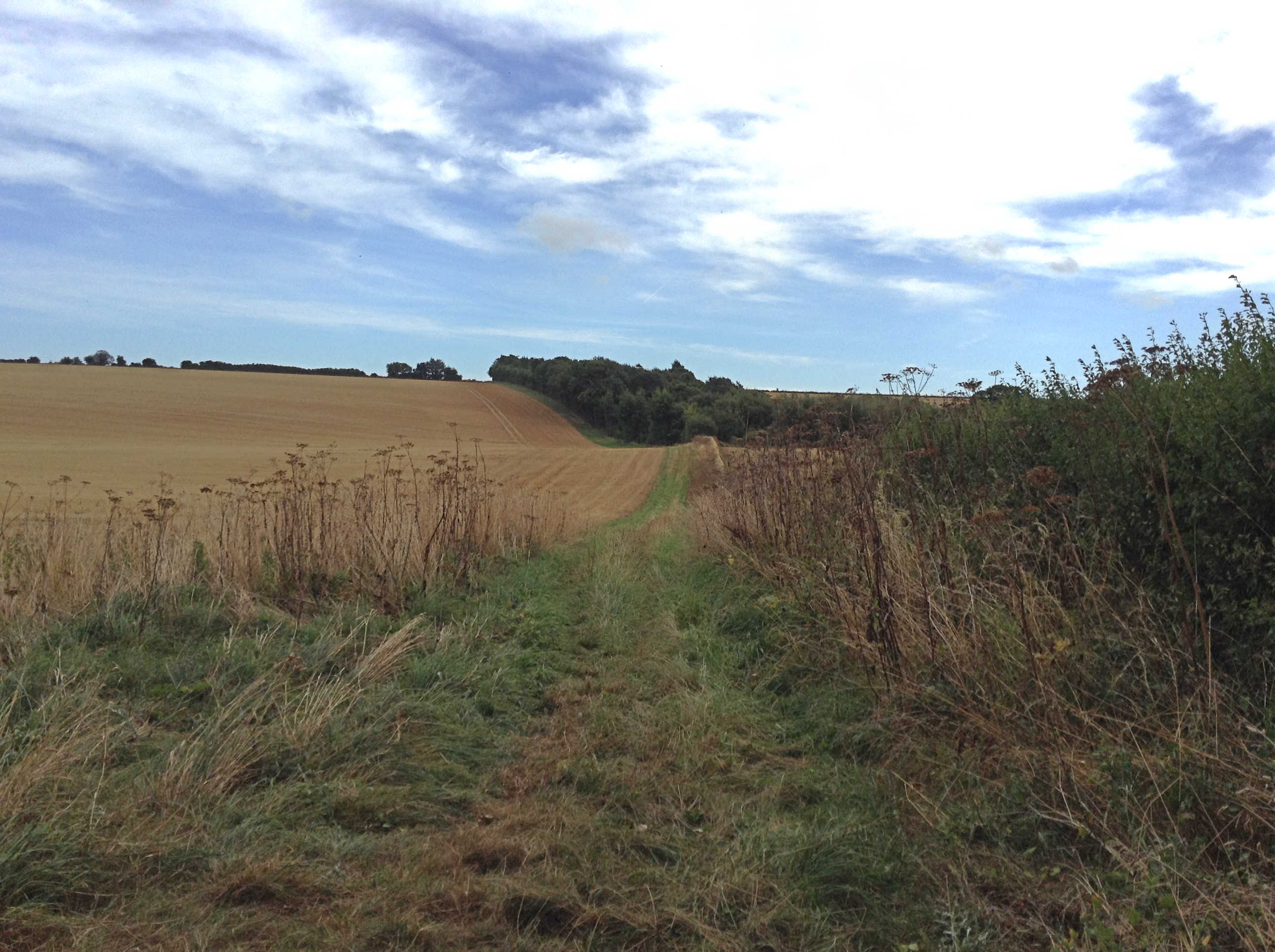 Between Sutton Court and Maydensole