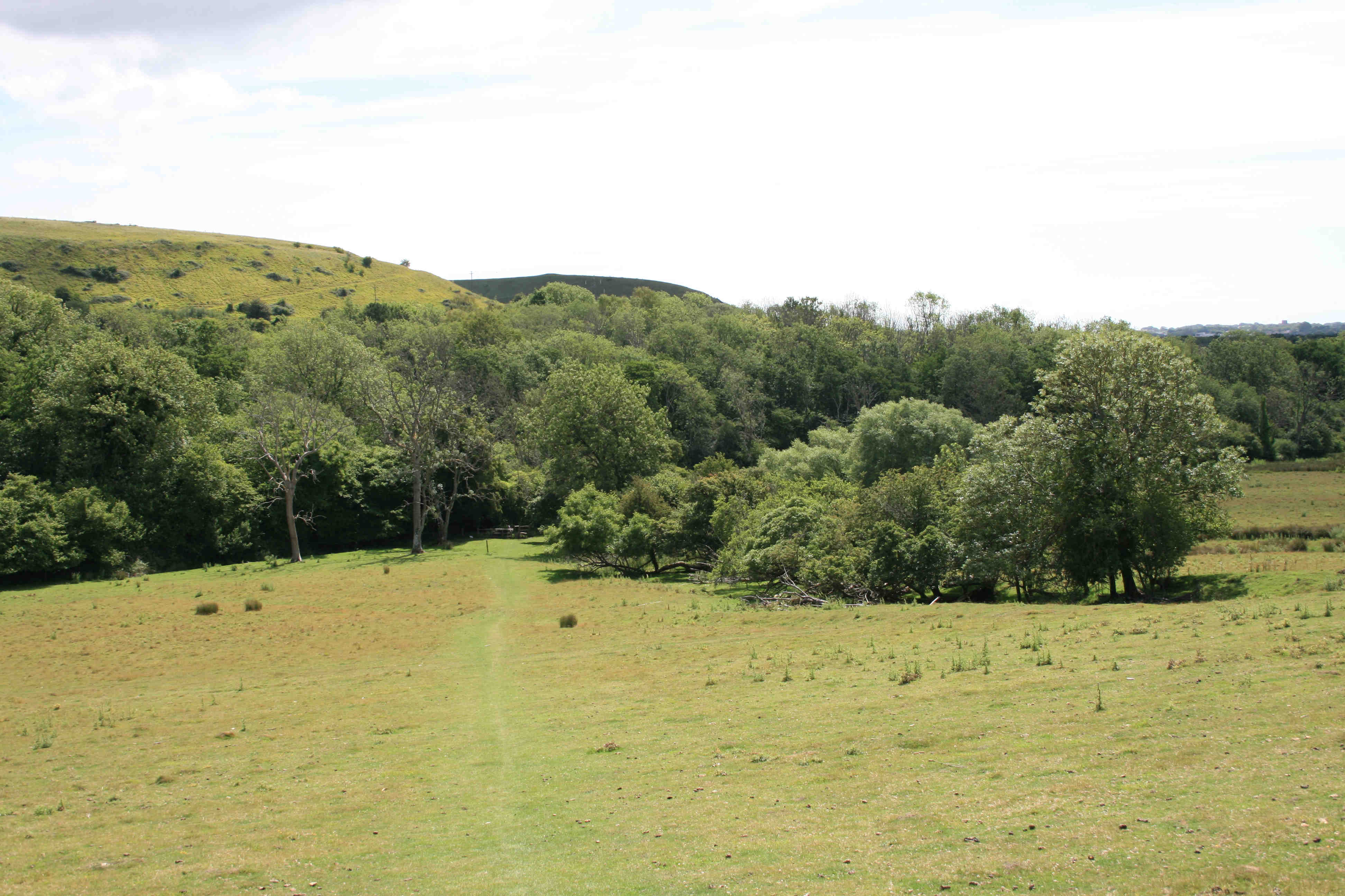 below Coombe Farm