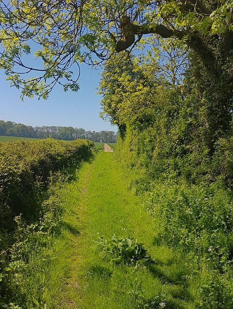 Park Lane, Bishopsbourne