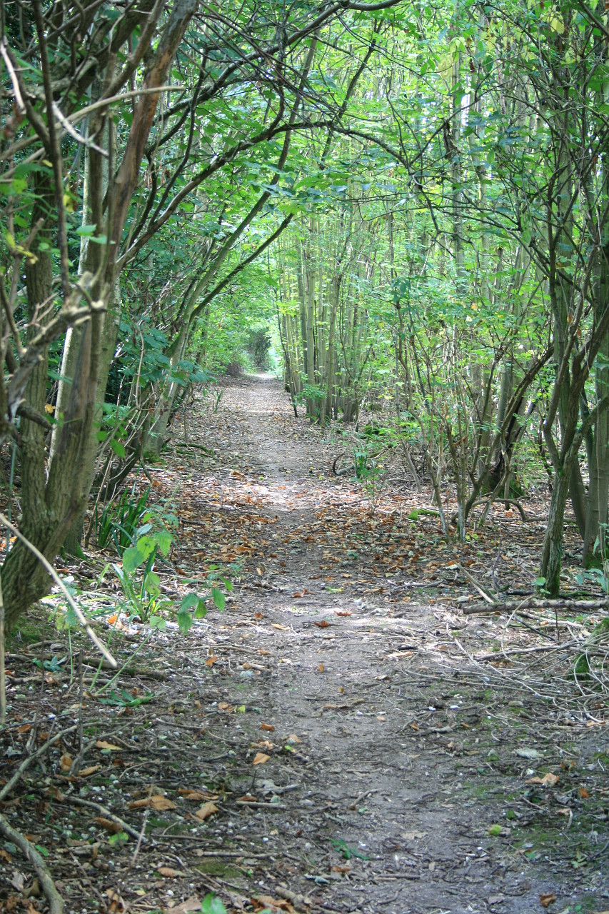 View along Lonely Lane