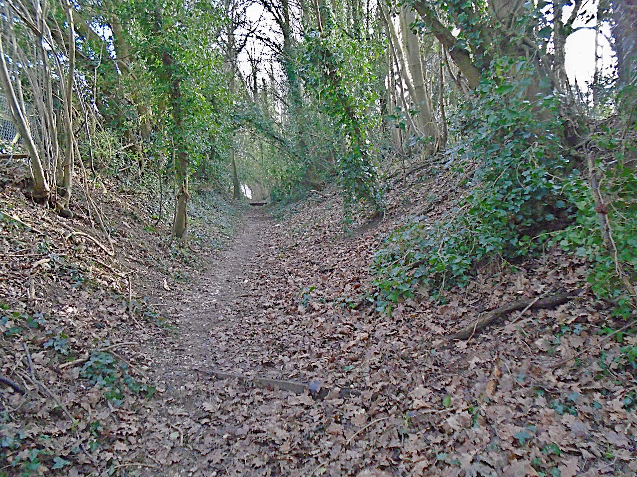 Approaching Coxhill