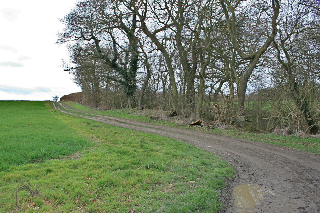 Woodshole Lane