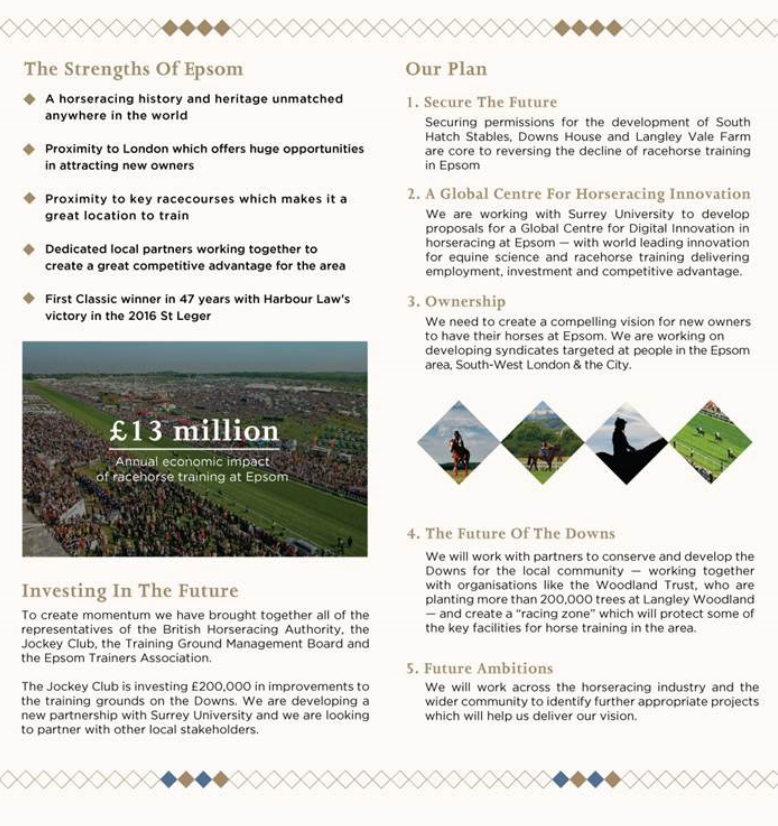 Epsom Vision for racing on Epsom Downs, page 2