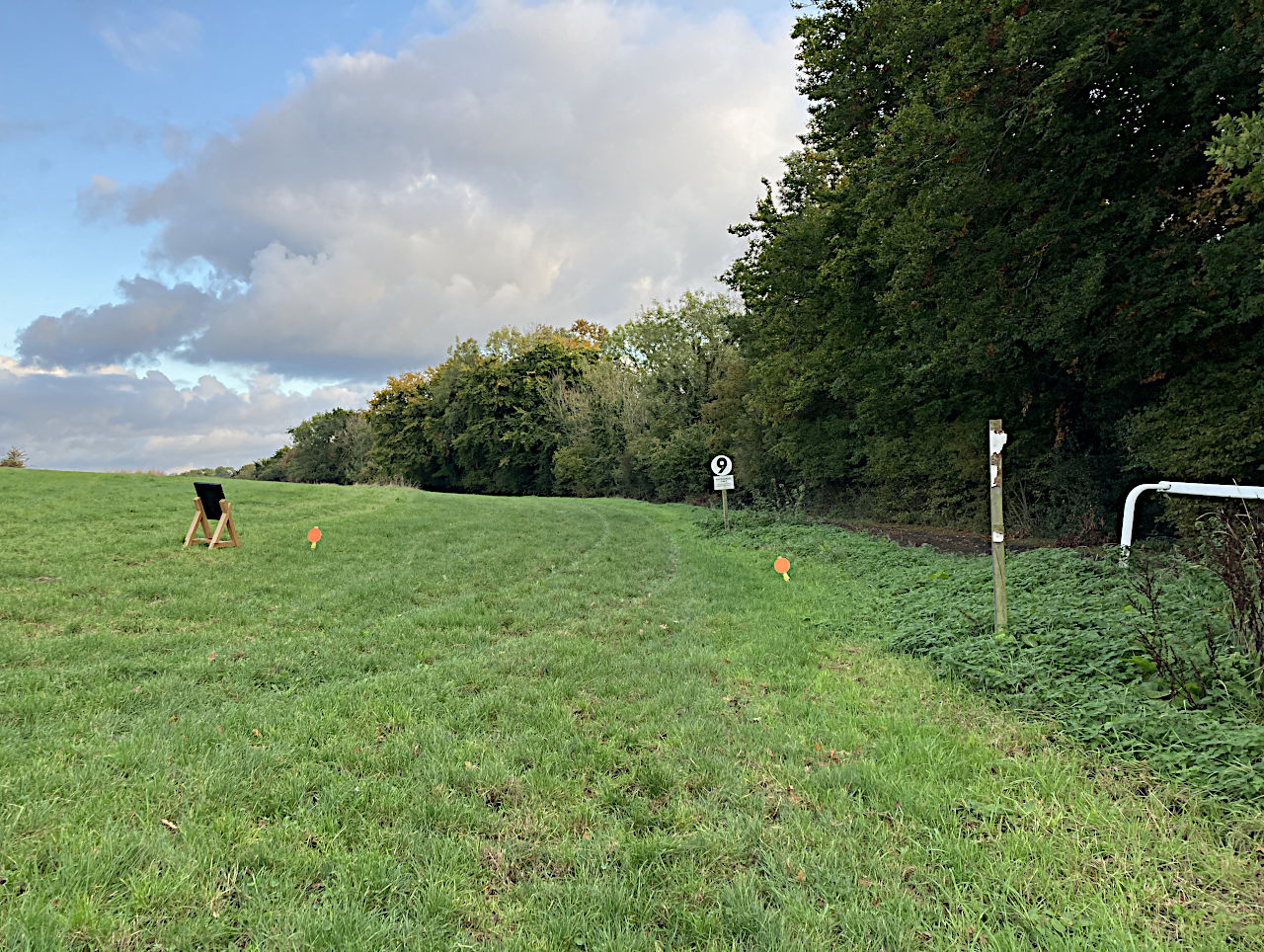 grass gallop on Walton Downs showing route defined by orange paddles