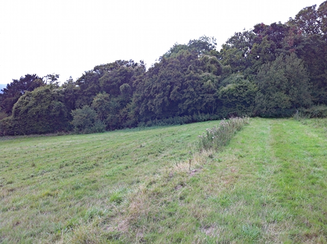 Lady Hill, looking west to Dewriding Plantation