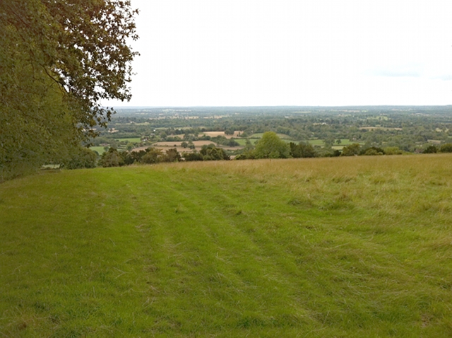 Lady Hill, looking south from adjacent to Round Wood