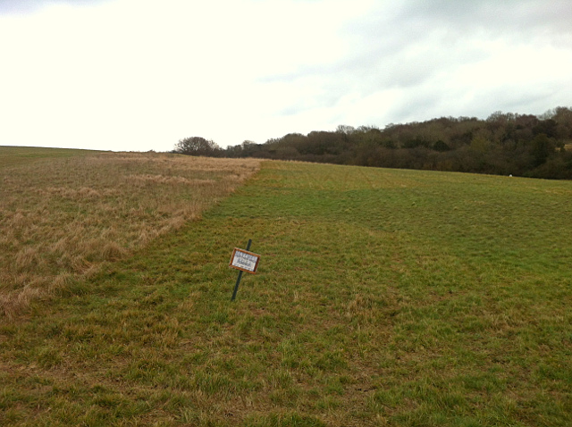 Clearance at top of Rifle Butts Alley