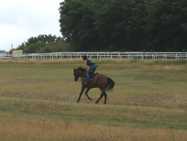 Epsom Downs