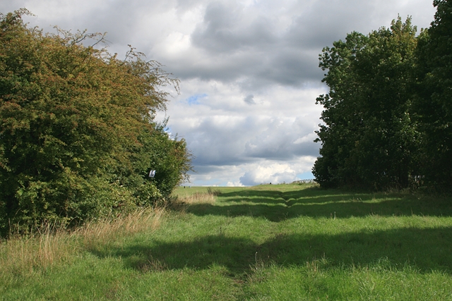 The old racecourse