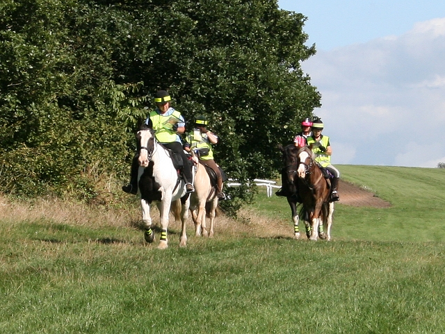 Afternoon ride