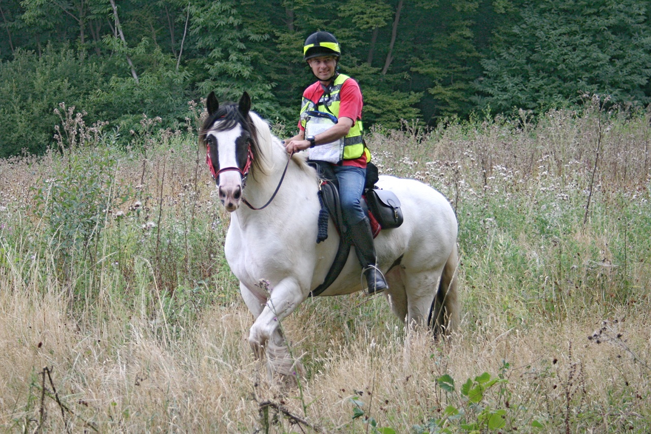 Barwell Court Farm BHS TREC 2013