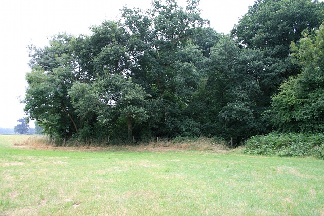 Entrance onto Arbrook Common