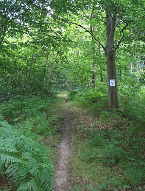 Ticket 7 south of Stoke Wood