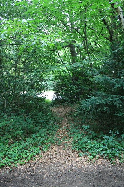 Path to Warren Lane Crossing