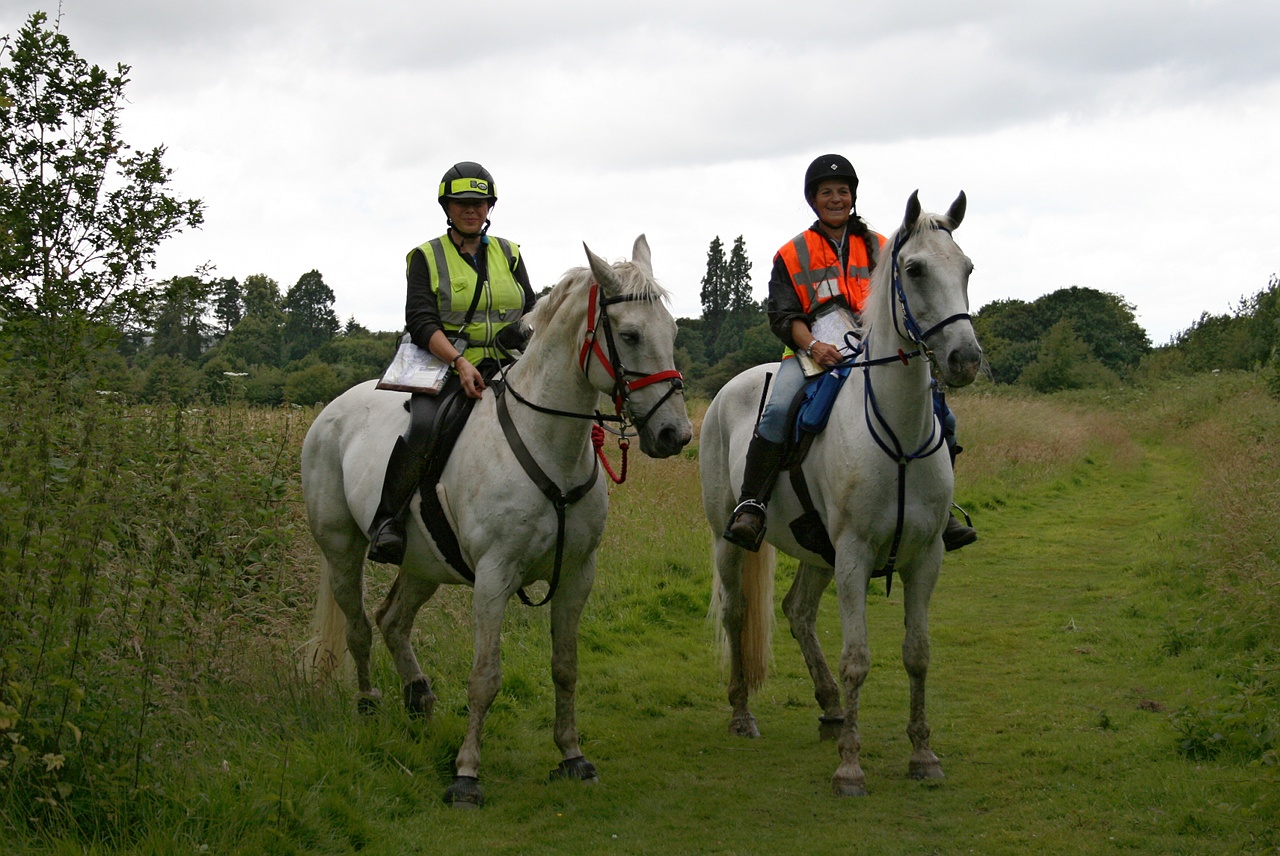 Mid Surrey BHS TREC 2014