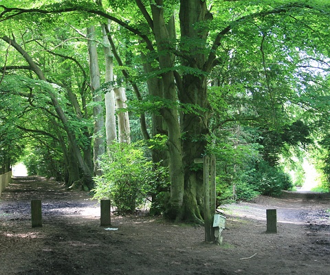 Mill Lane check point