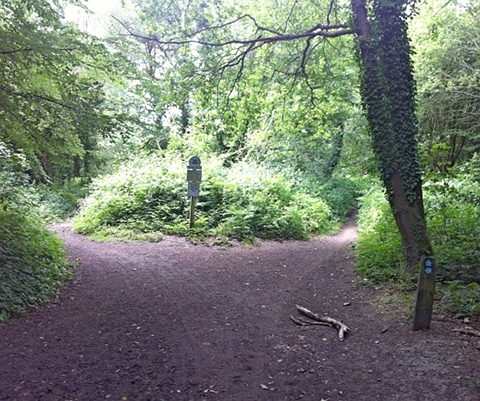 Check point at Tye Lane